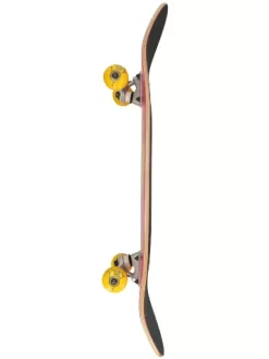 Big Cat 7.75" Complete -Ride The Wave Skateboard Store BigCat775Complete 2