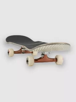 Globe G2 Real Fun, WOW! 8.0" Complete -Ride The Wave Skateboard Store G2RealFunWOW80Complete 2