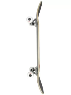 Globe Goodstock 8.125" Complete -Ride The Wave Skateboard Store Goodstock8125Complete 3