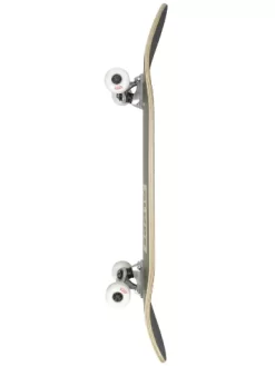 Globe Goodstock 8.25" Complete -Ride The Wave Skateboard Store Goodstock825Complete 1