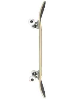 Globe Goodstock 8.375" Complete -Ride The Wave Skateboard Store Goodstock8375Complete 2