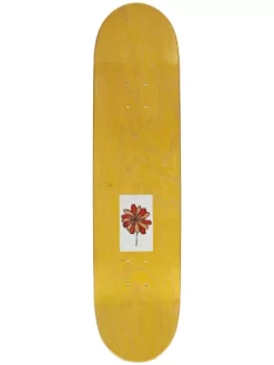 GIRL Pacheco Blooming 8" Skateboard Deck 6 GIRL Pacheco Blooming 8" Skateboard Deck -Ride The Wave Skateboard Store PachecoBlooming8SkateboardDeck 1