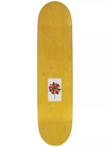 GIRL Pacheco Blooming 8" Skateboard Deck 4 GIRL Pacheco Blooming 8" Skateboard Deck - Image 2
