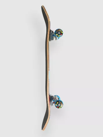 Paintballer 7.75" Complete 5 Paintballer 7.75" Complete - Image 3