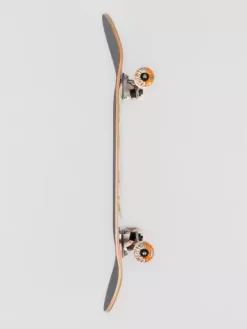 Painted Circle 8.25" Complete 8 Painted Circle 8.25" Complete -Ride The Wave Skateboard Store PaintedCircle825Complete 2