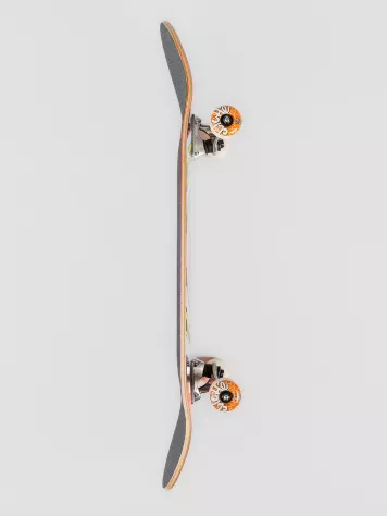 Painted Circle 8.25" Complete 5 Painted Circle 8.25" Complete - Image 3