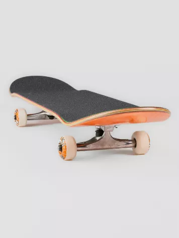 Painted Circle 8.25" Complete 6 Painted Circle 8.25" Complete - Image 4