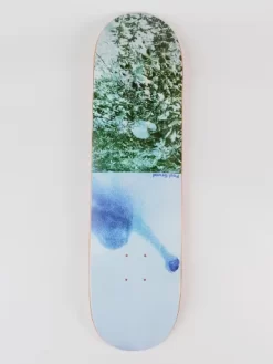 Paul Grund Man With Window 8.375" Skateboard