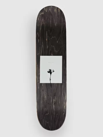 Playground 8" Skateboard Deck 4 Playground 8" Skateboard Deck - Image 2