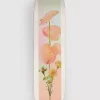 Playground 8" Skateboard Deck 1 Playground 8" Skateboard Deck -Ride The Wave Skateboard Store Playground8SkateboardDeck