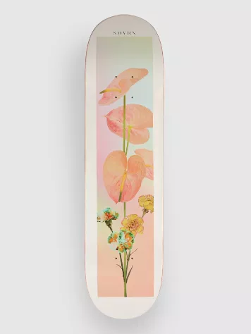 Playground 8" Skateboard Deck 3 Playground 8" Skateboard Deck