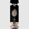 Premium Pleasant Life 8.0" Complete -Ride The Wave Skateboard Store PremiumPleasantLife80Complete