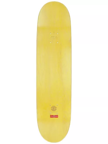 Element Seal Classic 8" Skateboard Deck 4 Element Seal Classic 8" Skateboard Deck - Image 2