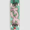 DGK Sensei 7.75" Complete -Ride The Wave Skateboard Store Sensei775Complete